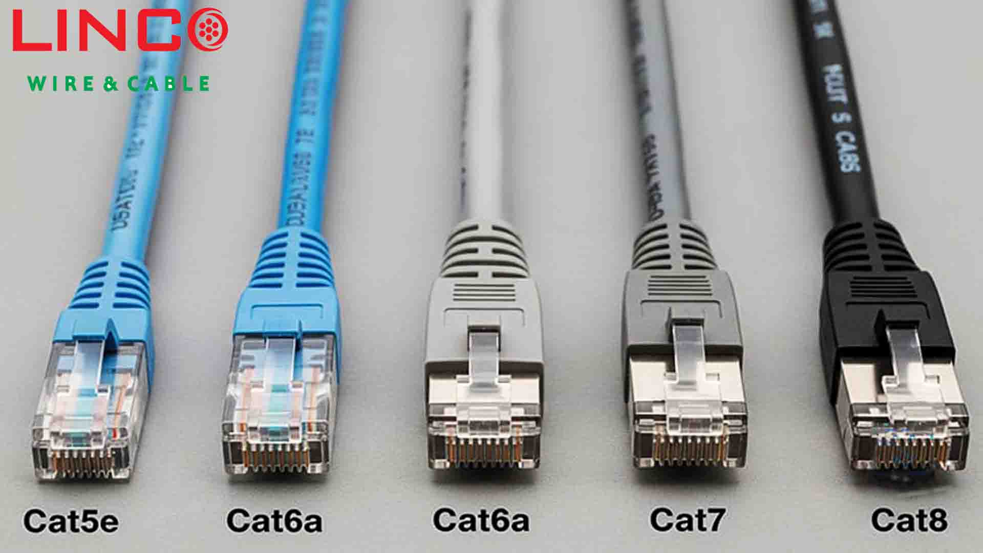 راهنمای جامع انتخاب کابل شبکه | از Cat5e تا Cat8، کدام برای کسب ‌وکار شماست؟